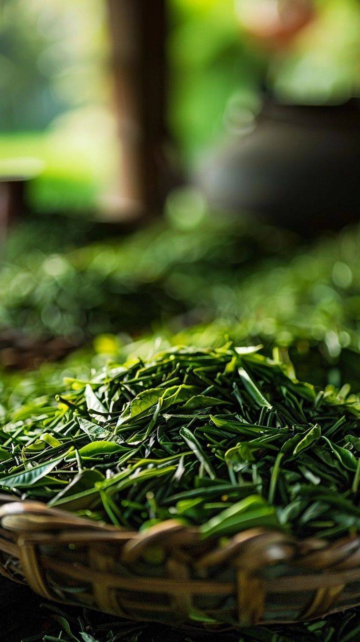 Matcha Trung